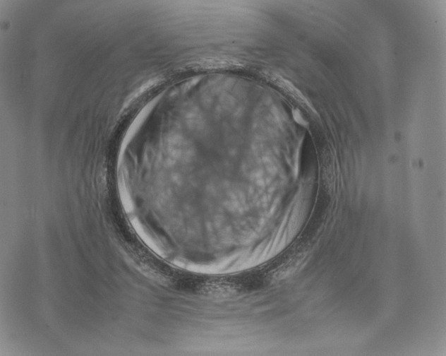 X0000074030207200609111722