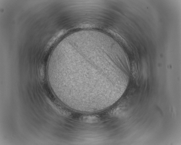 X0000074030208200609111722