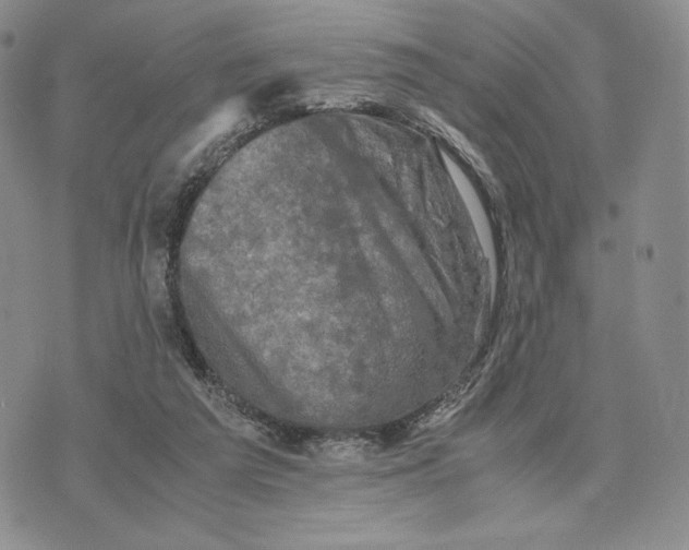 X0000074030209200609111722