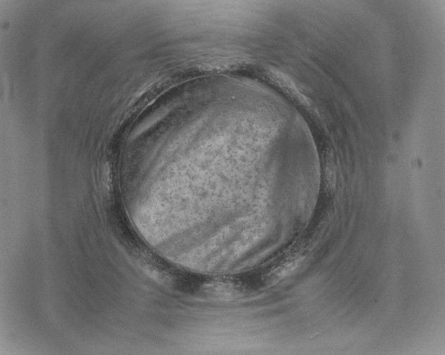 X0000074030211200609111722