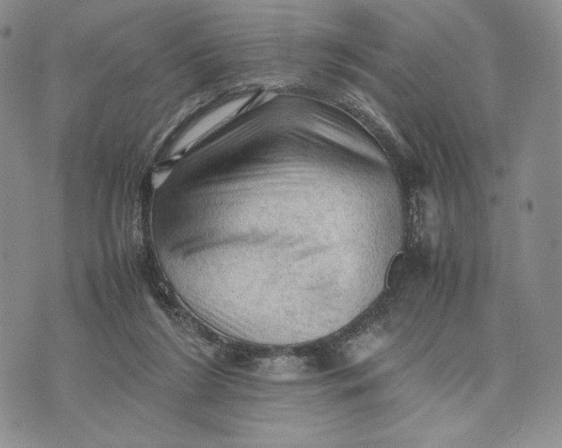 X0000074030212200609111722