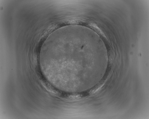 X0000074030213200609111722