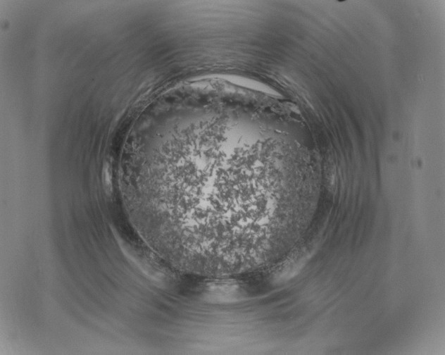 X0000074030214200609111722