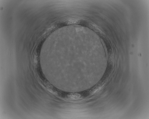 X0000074030215200609111722