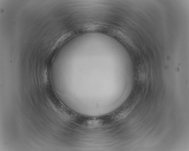 X0000074030216200609111722