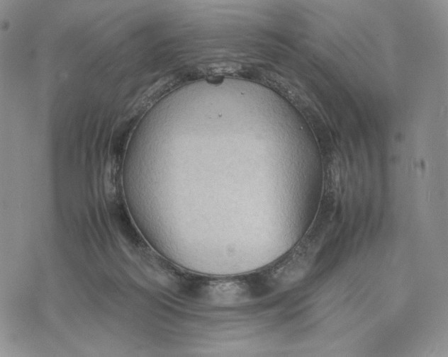 X0000074030218200609111722