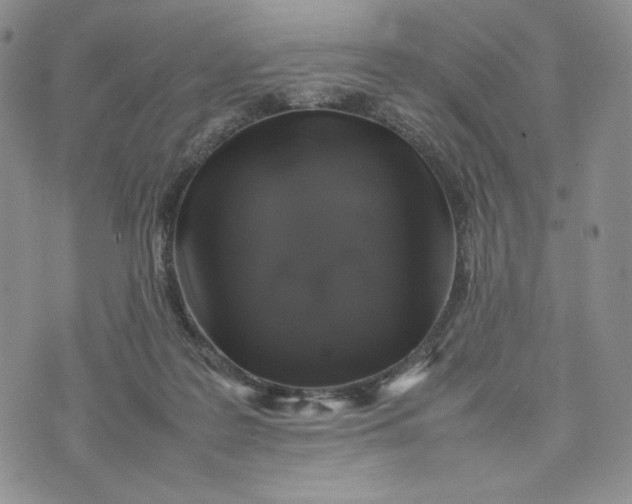 X0000074030219200609111722