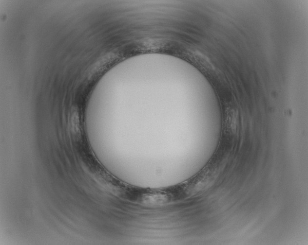 X0000074030220200609111722