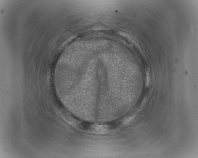 X0000074030221200609111722