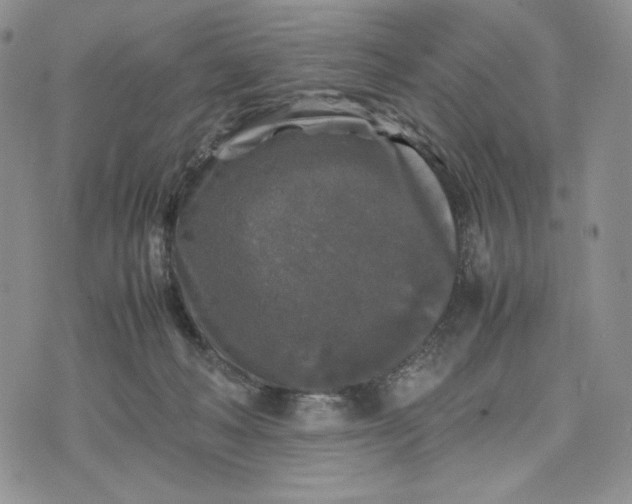 X0000074030222200609111722