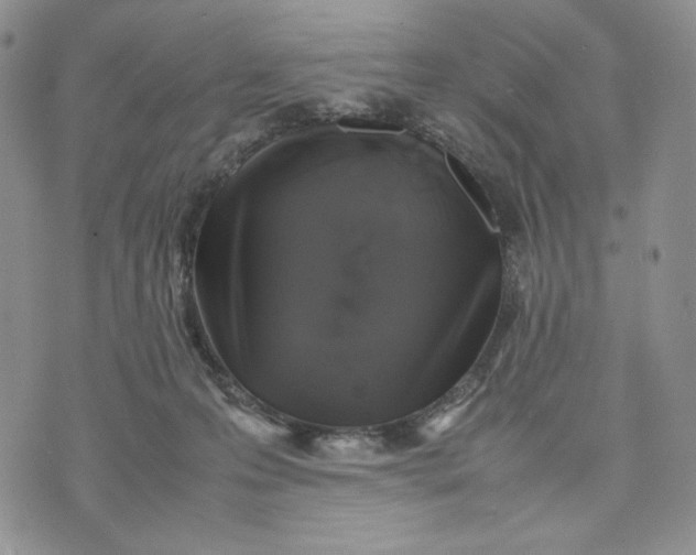 X0000074030223200609111722