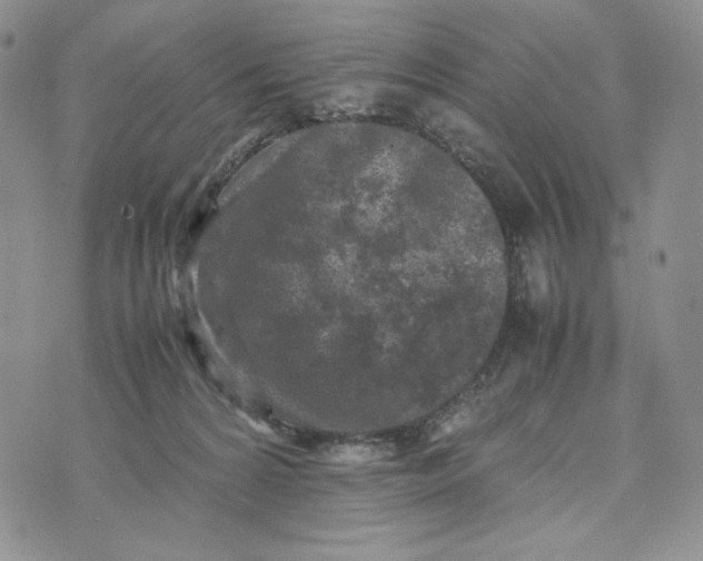 X0000074030224200609111722