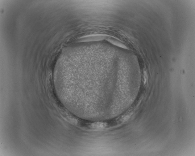 X0000074030225200609111722