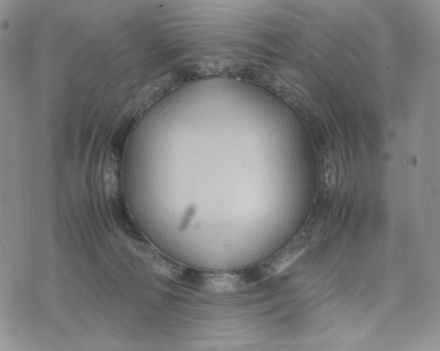 X0000074030226200609111722