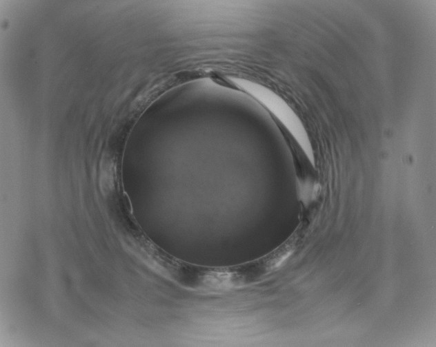 X0000074030227200609111722