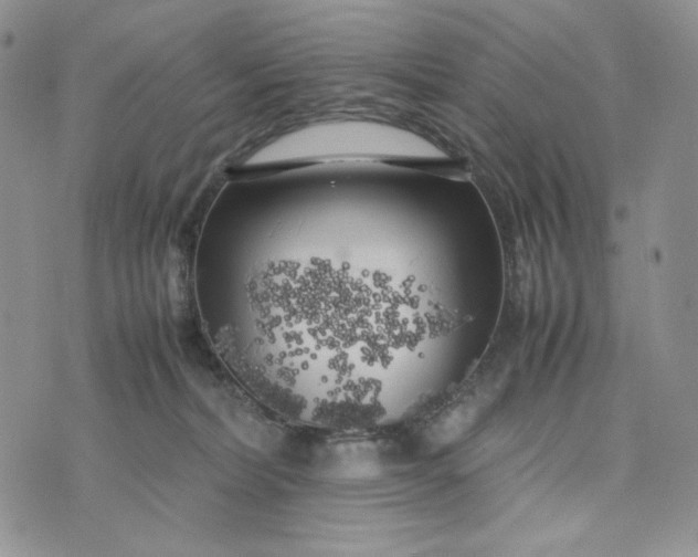 X0000074030228200609111722