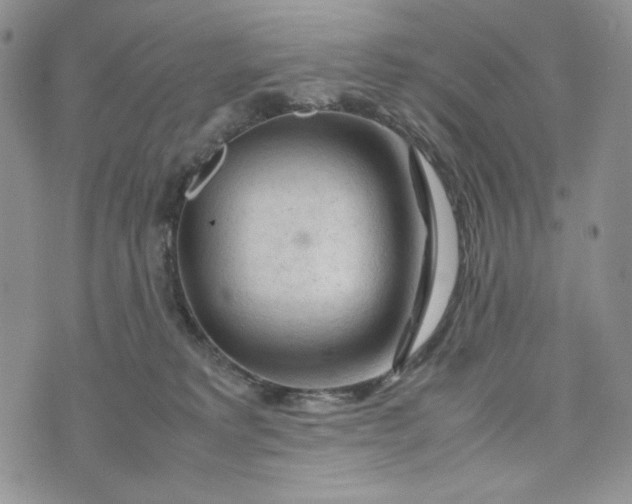 X0000074030229200609111722