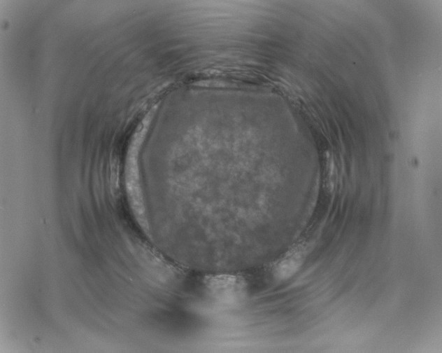 X0000074030230200609111722