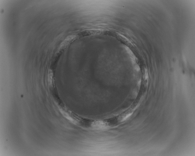 X0000074030231200609111722