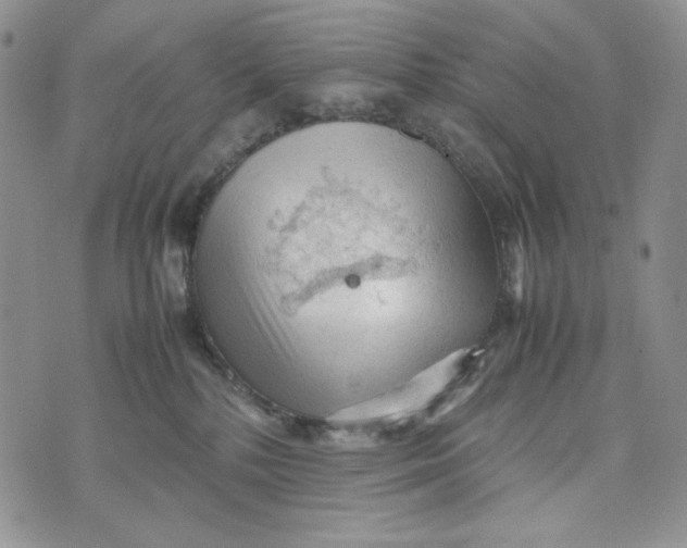 X0000074030232200609111722