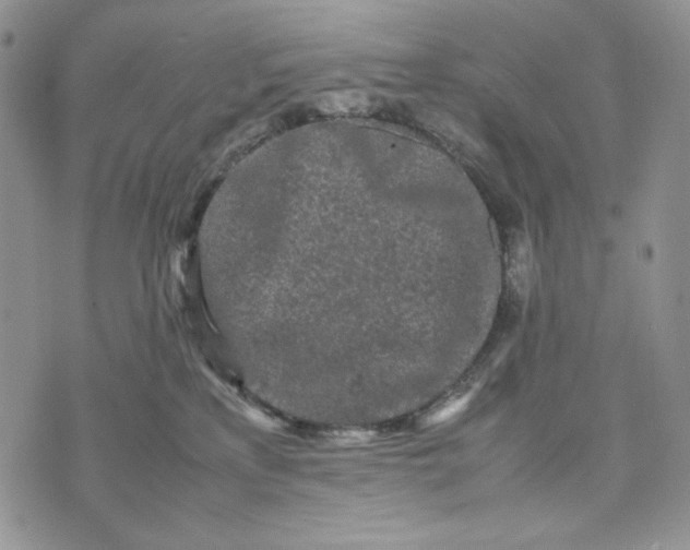 X0000074030233200609111722