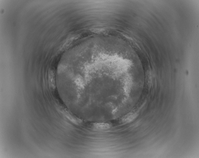 X0000074030234200609111722