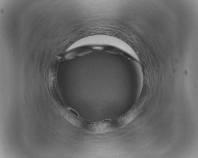 X0000074030235200609111722