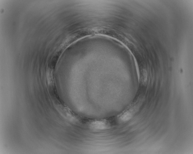 X0000074030236200609111722