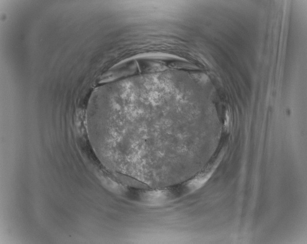 X0000074030237200609111722