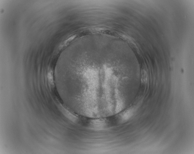 X0000074030238200609111722