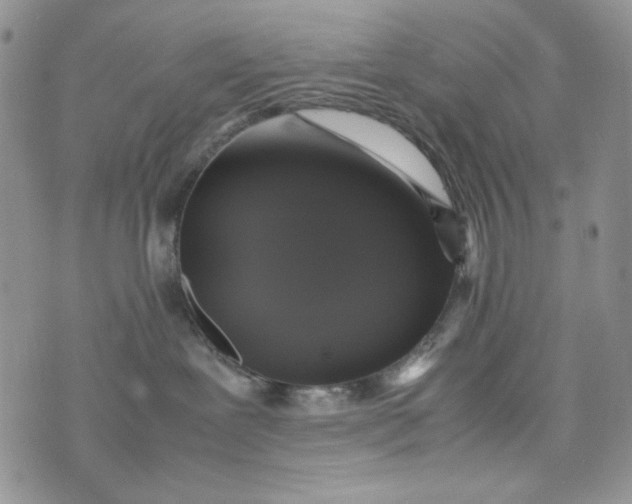 X0000074030239200609111722