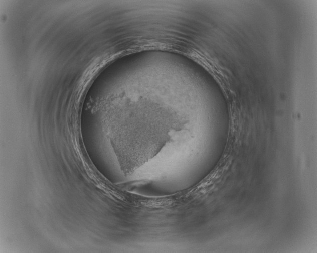 X0000074030241200609111721