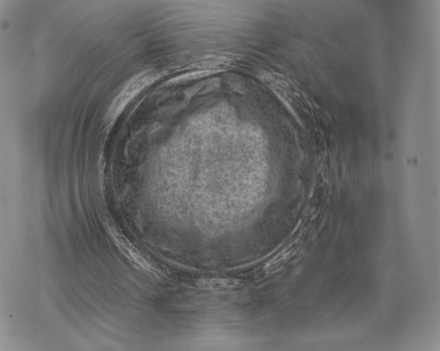 X0000074030242200609111721