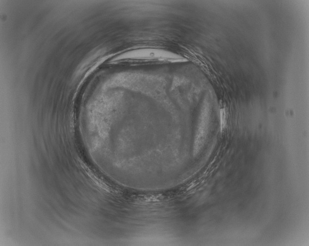 X0000074030243200609111721