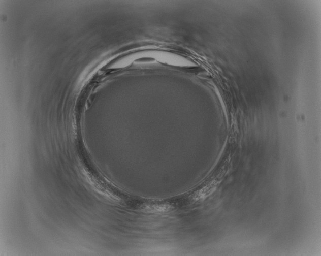 X0000074030247200609111721