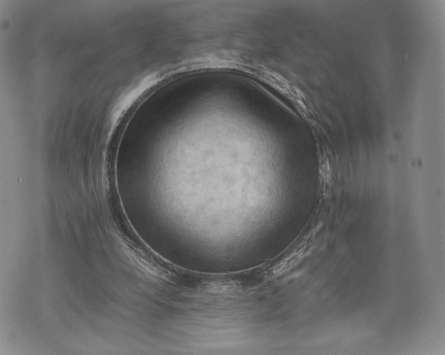 X0000074030248200609111721