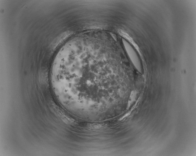 X0000074030249200609111721