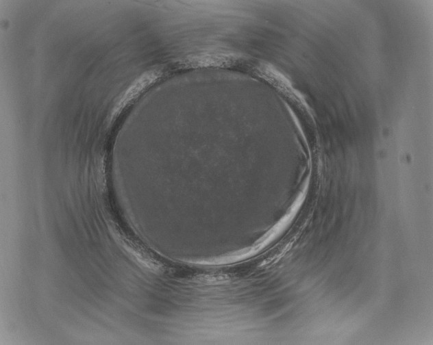 X0000074030250200609111721