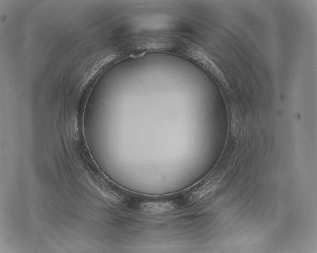 X0000074030251200609111721