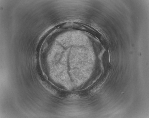 X0000074030252200609111721