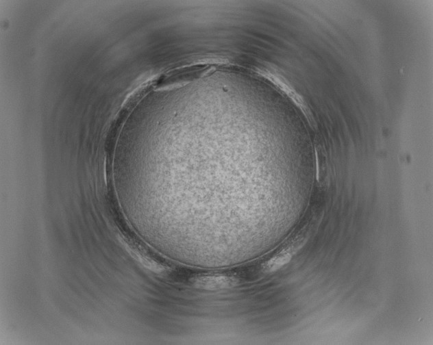 X0000074030253200609111721