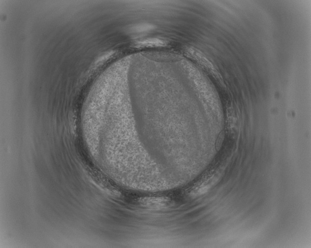 X0000074030255200609111721