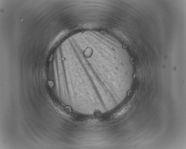 X0000074030256200609111721