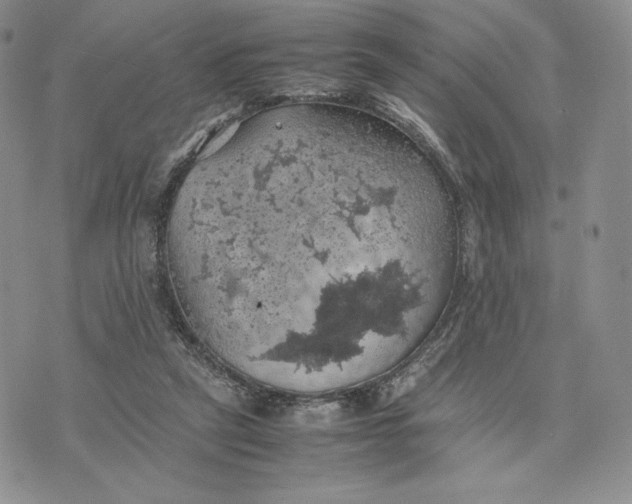 X0000074030257200609111721