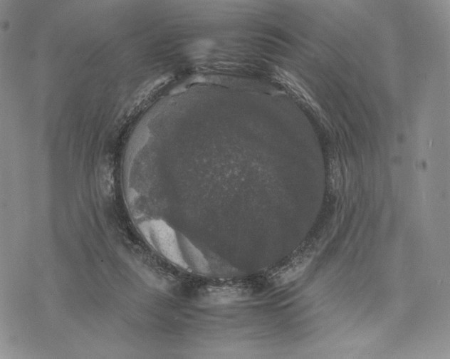 X0000074030259200609111721