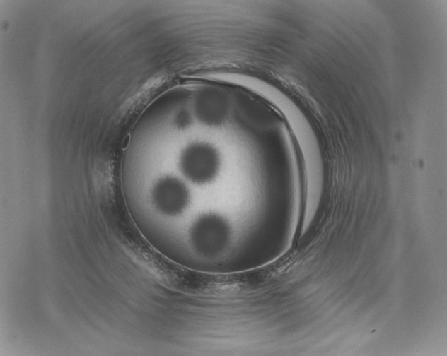 X0000074030260200609111721