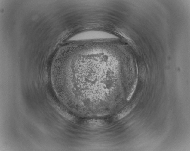 X0000074030261200609111721