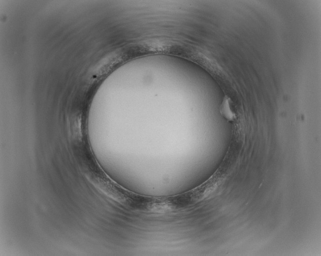 X0000074030262200609111721