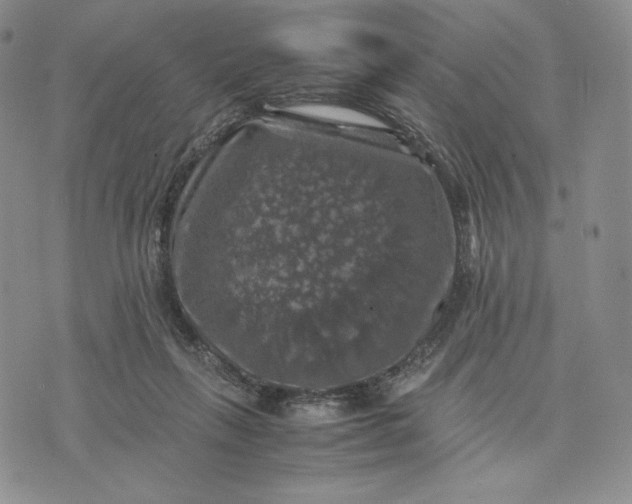 X0000074030263200609111721