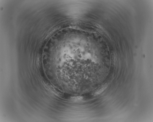 X0000074030266200609111721